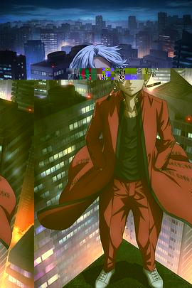 陆贞传奇全集介绍_陆贞传奇全集介绍剧情